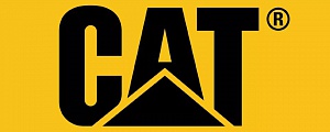 Caterpillar