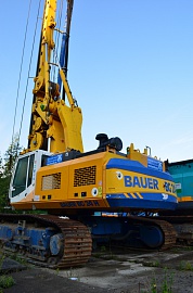 Bauer